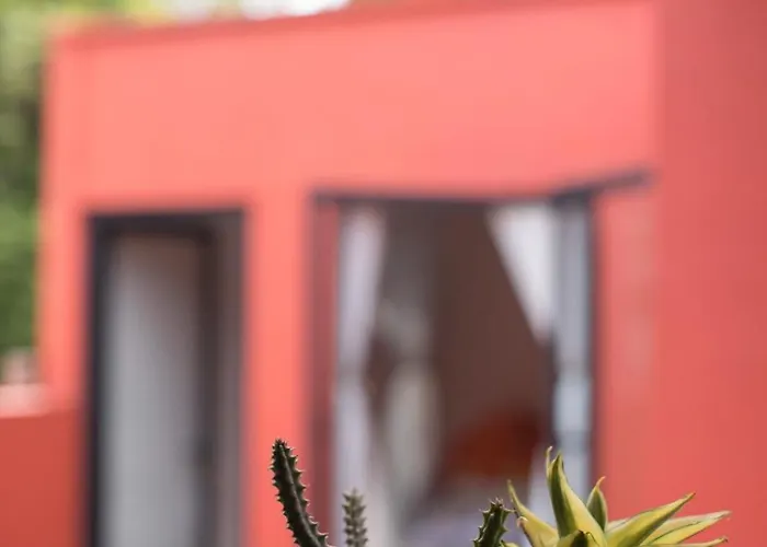 Tonalli Casa Boutique * Mexico