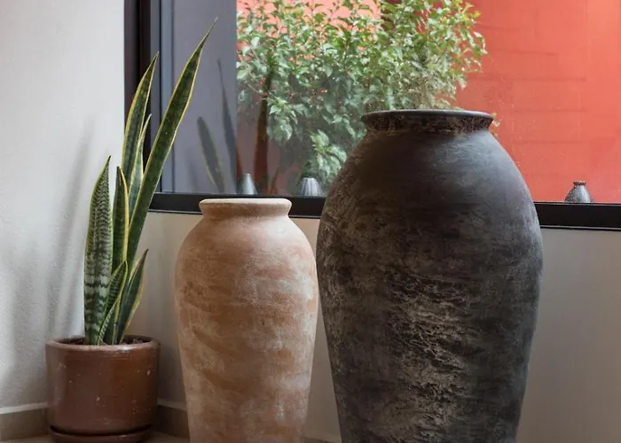 Tonalli Casa Boutique Séjour chez l'habitant *